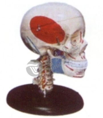 1448350311698355.png 7K6V6IELLL%J`GN5ELF`3`2.png