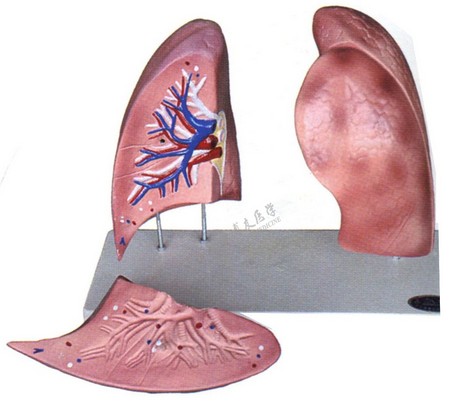 1450665535489292.png ~CP}@LEQ95(B68DFPIJOK%L.png