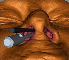 点击浏览下一页