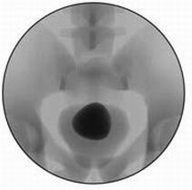 点击浏览下一页