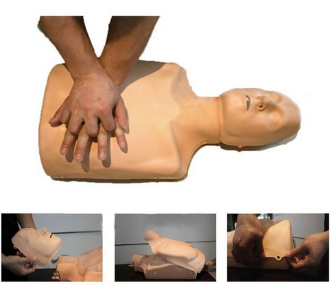 医学教学模型 IR4`6GIJ5KLAT%E0A$KAFKX.png