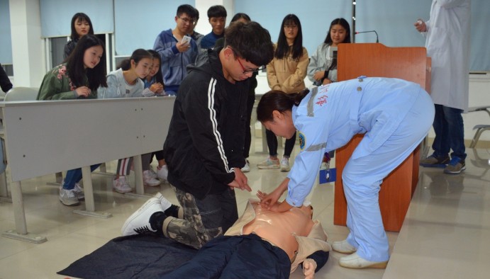 医学教学模型 医学教学模型