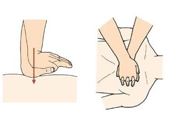 医学教学模型 医学教学模型