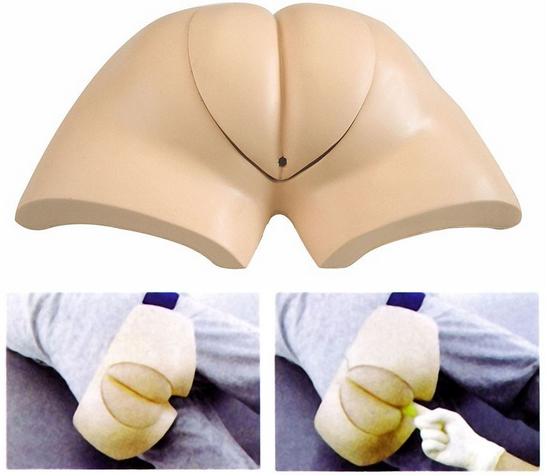 医学教学模型 医学教学模型