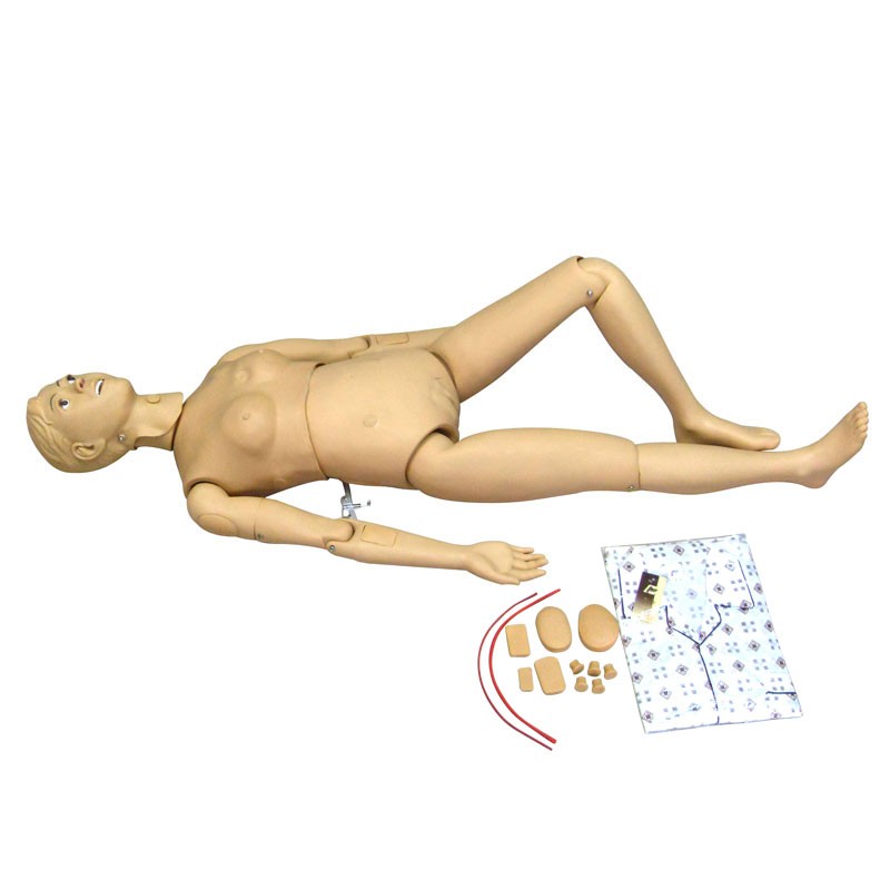 医学教学模型 医学教学模型