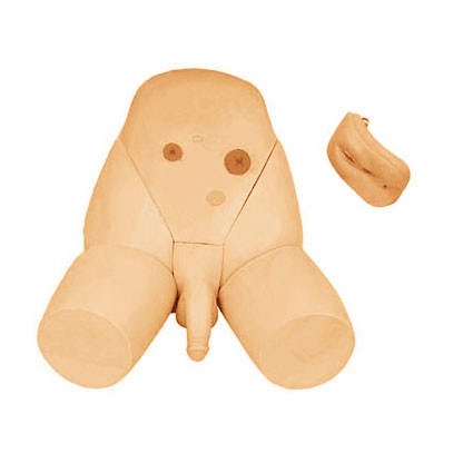 医学教学模型 医学教学模型