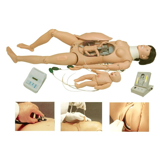 医学教学模型 医学教学模型