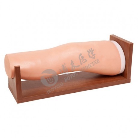 医学教学模型 医学教学模型