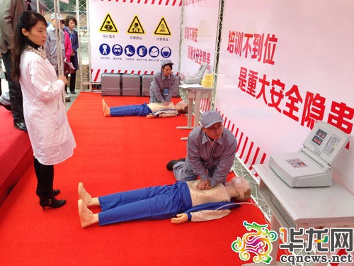 医学教学模型 医学教学模型