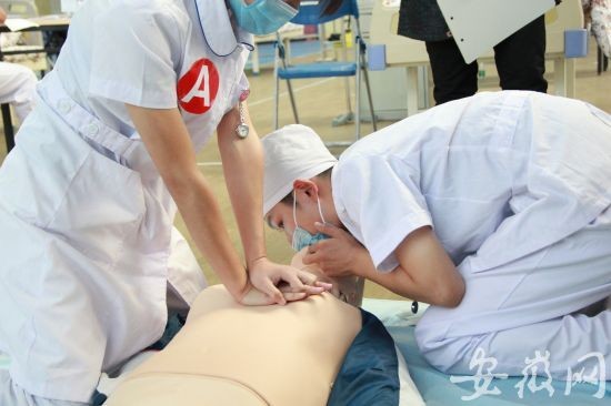 医学教学模型 医学教学模型