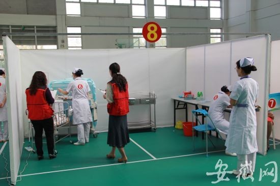 医学教学模型 医学教学模型