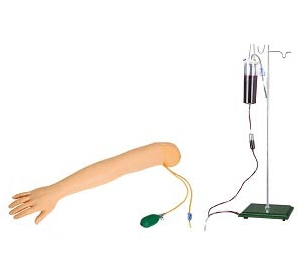 医学教学模型 医学教学模型