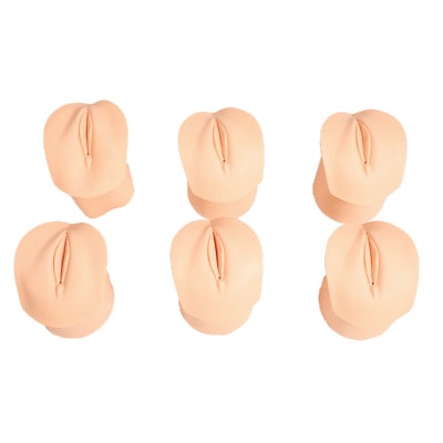 产前宫颈变化与产道关系模型