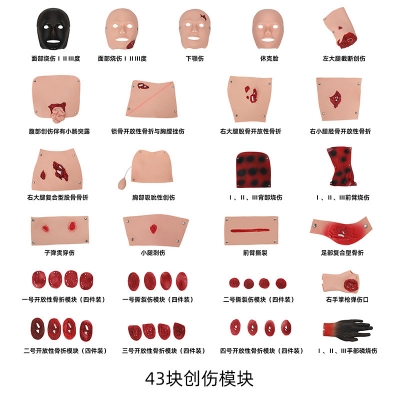 43部件创伤评估模块