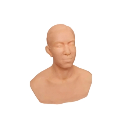 头部针灸训练模型