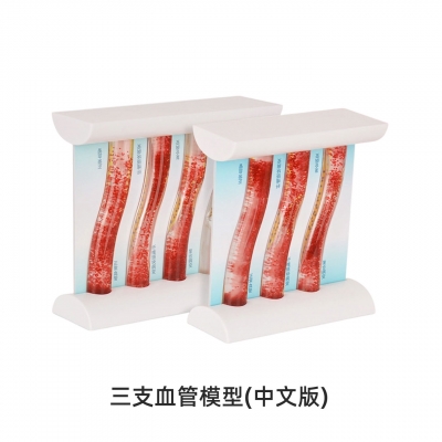 三支血管模型（中文版）