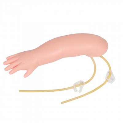 高级婴儿静脉穿刺手臂模型