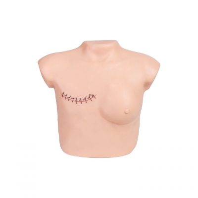 乳房检查及乳房切除术后护理模型